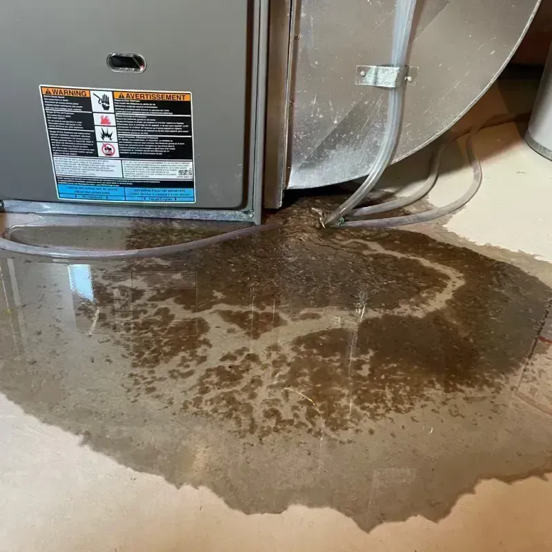 Appliance Leak Cleanup in Quincy, IL